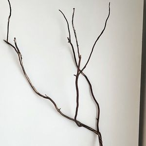 Mendocino Manzanita Branches